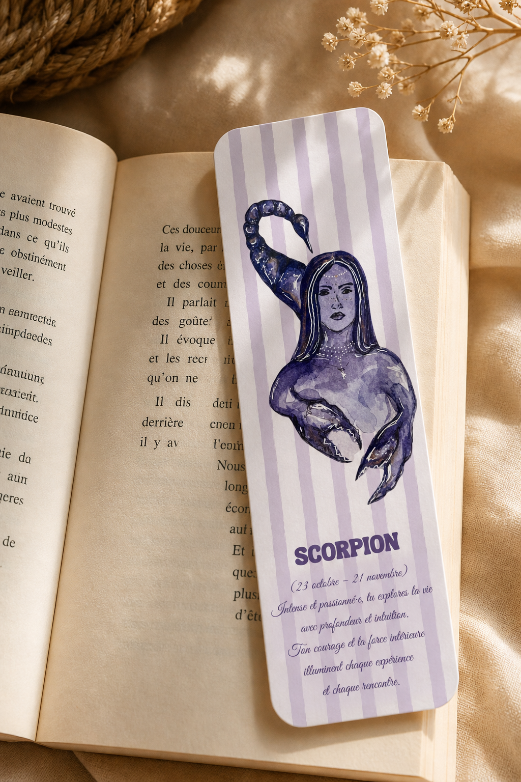 Illustrations